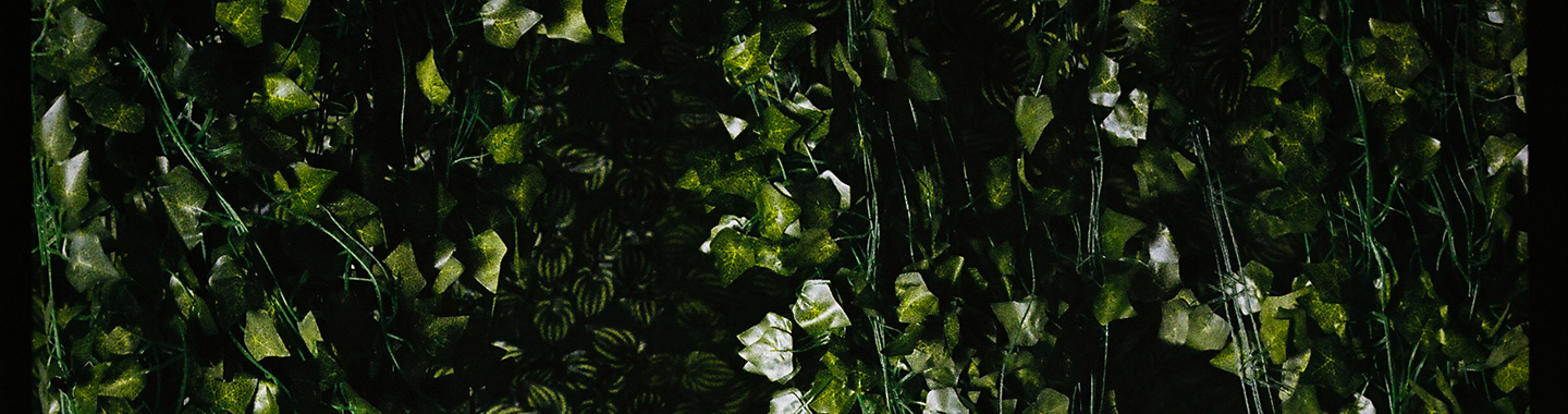 Gesangskappelle-Hermann_header.jpg