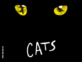 NEU_Cats_icon.jpg