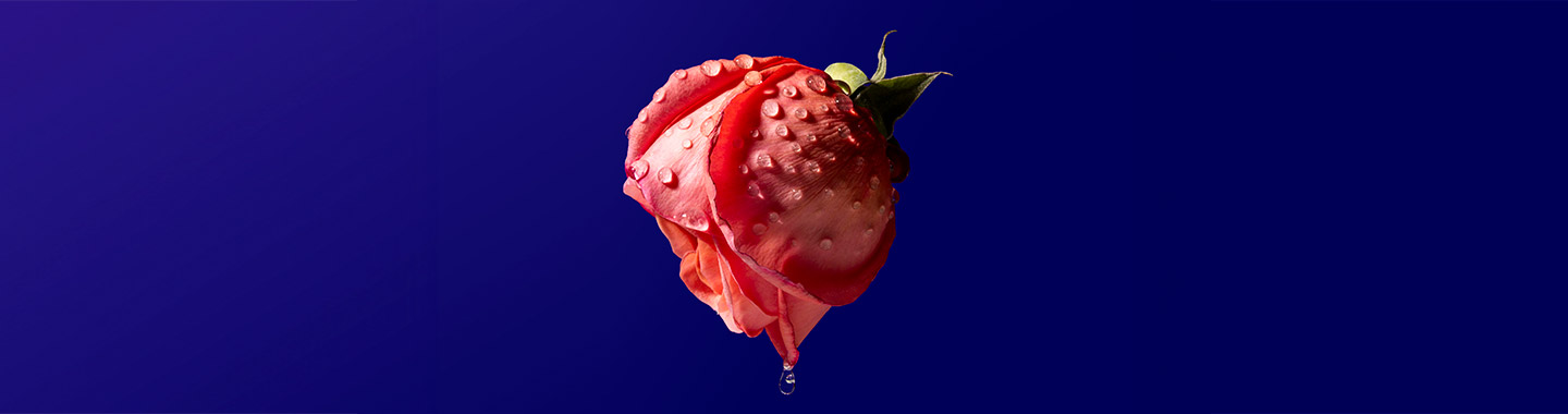 Rosenkavalier_header.jpg